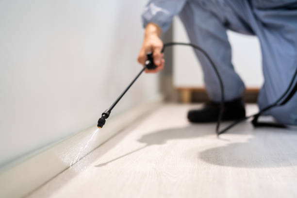 Licensed Termite Control service in Acalanes Ridge, CA - Nex Pest Control