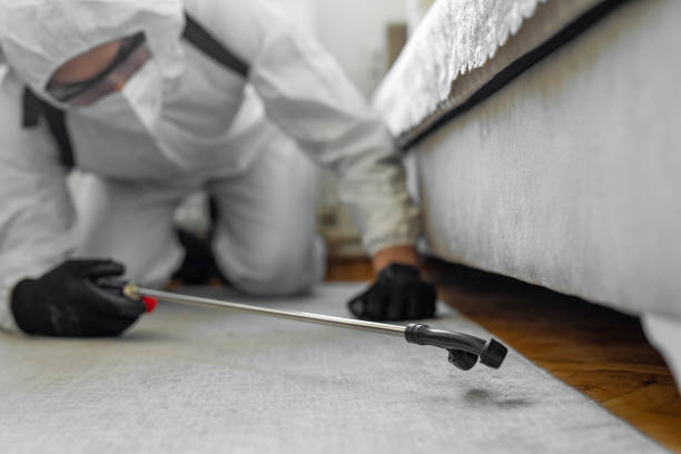 Professional Termite Control technician working in Acalanes Ridge, CA