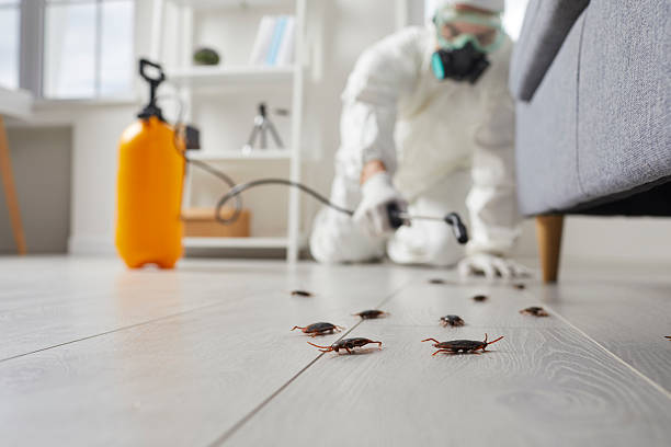 Trusted Cockroach Control service in Acalanes Ridge, CA - Nex Pest Control