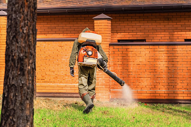Trusted Bed Bug Control service in Acalanes Ridge, CA - Nex Pest Control
